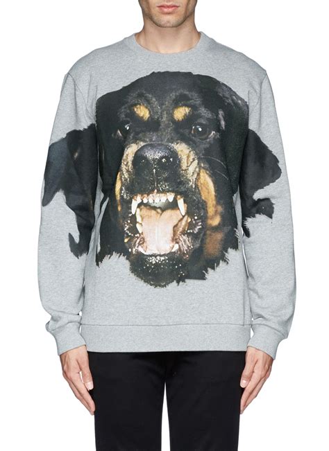 givenchy rottweiler hoodie replica|givenchy rottweiler print sweatshirt.